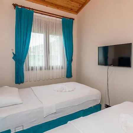 Cemre - 2 Bedroom In Kayakoey Oeluedeniz Vilă
